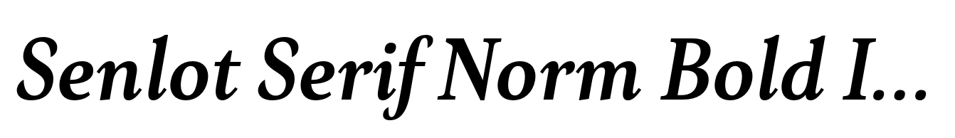 Senlot Serif Norm Bold Italic
